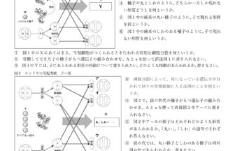 中3理科「遺伝」学習プリント無料ダウンロード・印刷